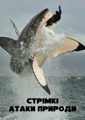 Стрімкі атаки природи