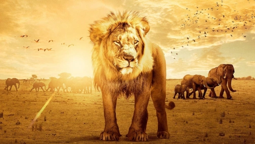 Зачароване королівство 3D