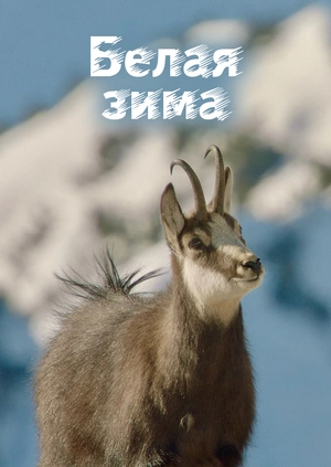 Белая зима