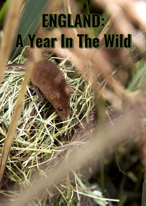 England: A Year in the Wild