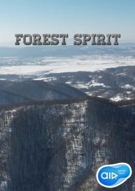 Forest spirit