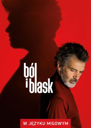 Ból i blask (w języku migowym) — plakat