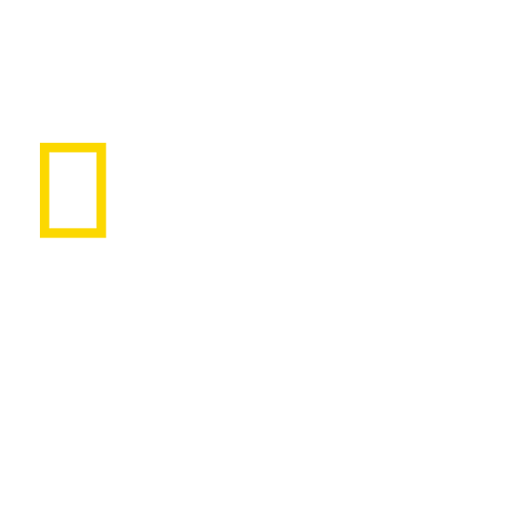 Логотип National Geographic Wild HD