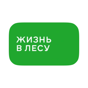 Жизнь в лесу