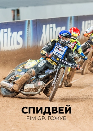 Спидвей. FIM GP. Гожув