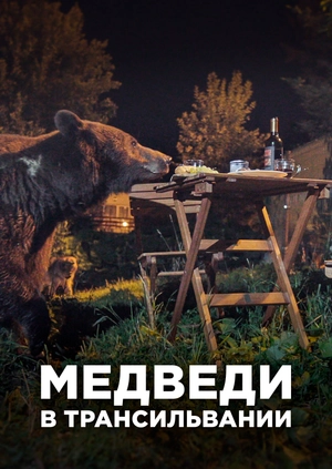 Медведи в Трансильвании