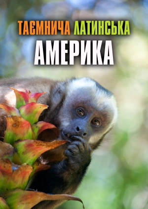 Таємнича Латинська Америка