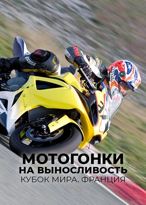 Мотогонки на выносливость. Кубок мира. Франция