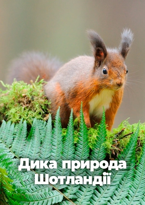 Дика природа Шотландії