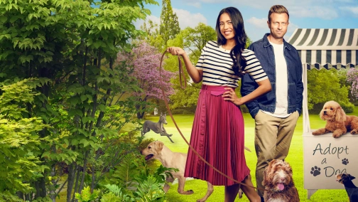 Містер Досконалість