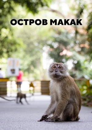 Остров макак