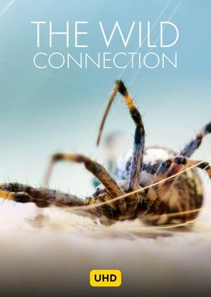The Wild Connection UHD