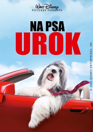 Na psa urok — plakat