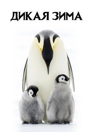 Дикая зима