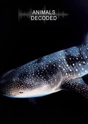 Animals Decoded