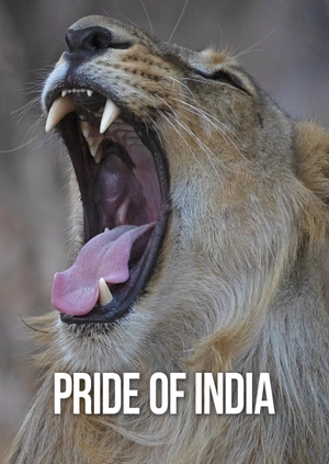 Pride of India