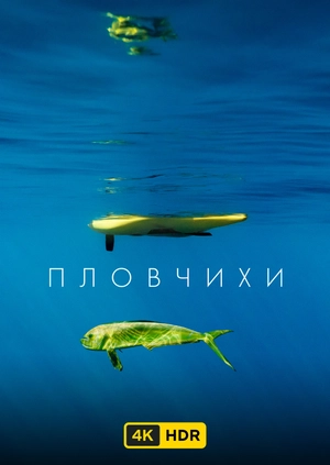 Пловчихи UHD HDR
